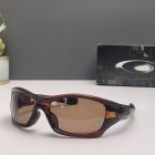 Oakley Pit Bull Sunglasses Rootbeer Frame Brown Polarized Lenses