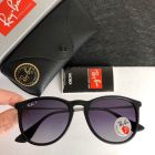 Ray Ban Erika Classic Sunglasses RB4171 Black Frame Polarized Purple Lenses