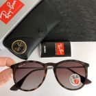 Ray Ban Erika Classic Sunglasses RB4171 Havana Polarized Brown Lenses