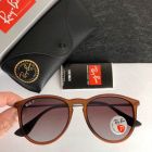 Ray Ban Erika Classic Sunglasses RB4171 Matte Havana Polarized Brown Lenses