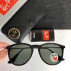 Ray Ban Erika Classic Sunglasses RB4171 Polished Black Frame Polarized Green Lenses