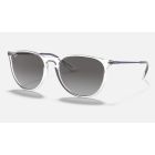 Ray Ban Erika Color Mix RB4171 Sunglasses + Shiny Transparent Frame Grey Lens
