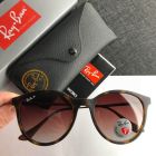 Ray Ban RB4334D Round Sunglasses Havana Frame Polarized Brown Lenses