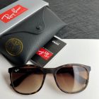 Ray Ban Rb4374 Square Sunglasses Havana Frame Polarized Brown Lenses
