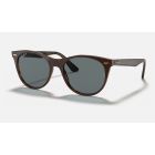 Ray Ban Wayfarer II Collection Online Exclusives RB2185 Sunglasses Light Blue Classic Brown